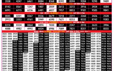 Rajshree 500 monthly lottery result 10.6.25