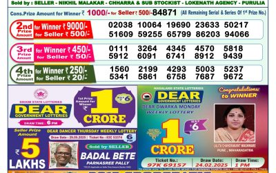 Dear lottery 1pm result 11.06.25