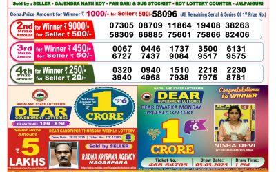 Dear lottery 8pm result 11.06.25