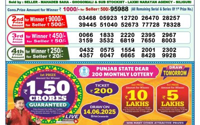 Dear lottery 1pm result 13.06.25