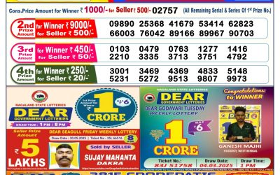 Dear lottery 6pm result 13.06.25