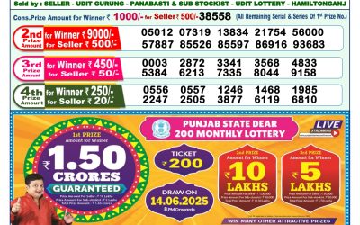 Dear lottery 1pm result 03.06.25