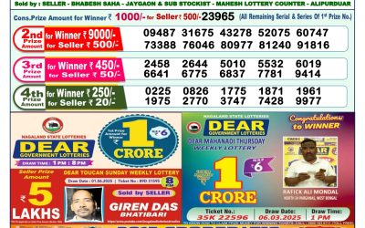 Dear lottery 1pm result 15.06.25