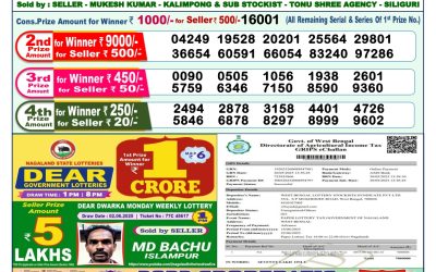 Dear lottery 1pm result 16.06.25