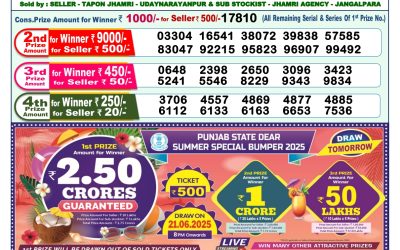 Dear lottery 1pm result 20.06.25