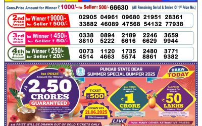 Dear lottery 6pm result 21.06.25