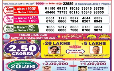 Dear lottery 8pm result 22.06.25