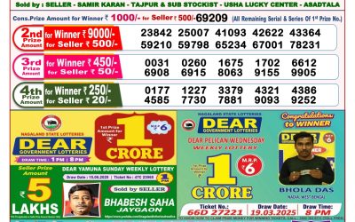 Dear lottery 8pm result 25.06.25
