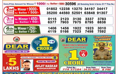 Dear lottery 8pm result 03.06.25