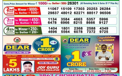 Dear lottery 1pm result 28.06.25