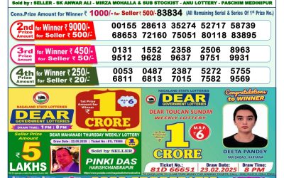 Dear lottery 1pm result 04.06.25