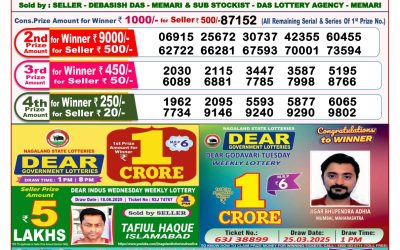 Dear lottery 8pm result 28.06.25