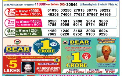 Dear lottery 6pm result 29.06.25