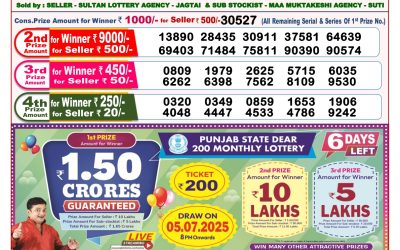 Dear lottery 8pm result 29.06.25
