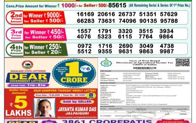 Dear lottery 1pm result 30.06.25