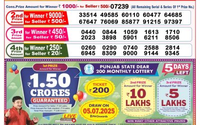 Dear lottery 8pm result 30.06.25