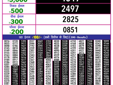 Everest Result Today Dear Lottery Chart