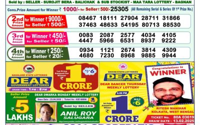 Dear lottery 1pm result 04.07.25