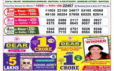 Dear lottery 8pm result 04.07.25