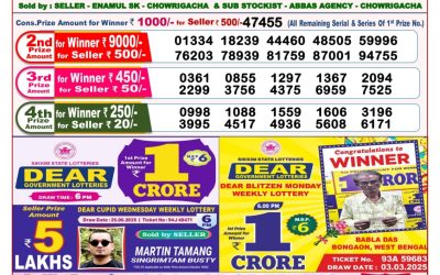 Dear lottery 8pm result 06.07.25