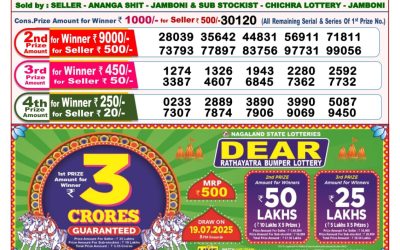 Dear lottery 8pm result 07.07.25