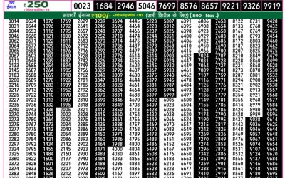 Rajshree 50 daily lottery 7.30pm result 09.07.25