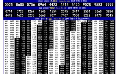 Rajshree 75 monthly lottery result 10.7.2025