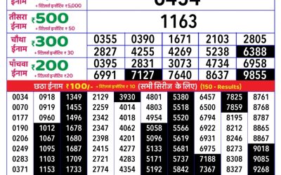 Rajshree daily lottery 1pm result 13.07.25