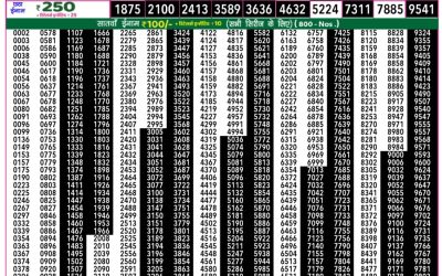Rajshree 50 Daily Lottery 7.30pm Result 16.07.25