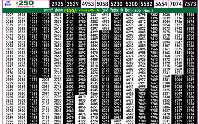 Rajshree 50 Daily Lottery 7.30pm Result 23.07.25