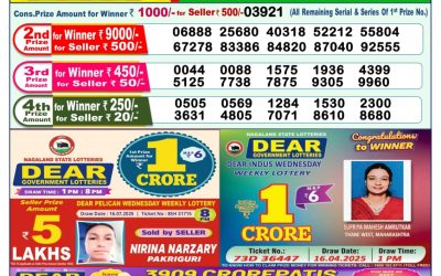 Dear Lottery 1pm Result 27.07.25