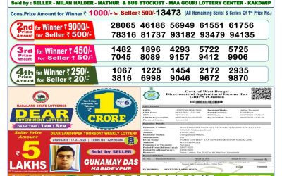 Dear Lottery 1pm Result 28.07.25