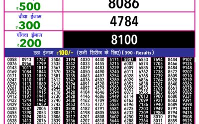 Rajshree 10 Evening Lottery 5.40pm Result 28.07.25