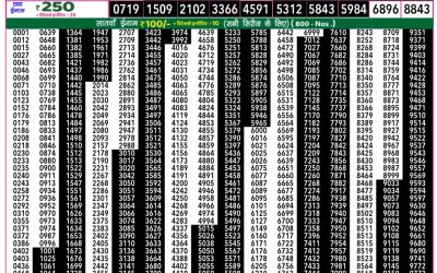 Rajshree 50 Daily Lottery 7.30pm Result 30.07.25