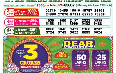 Dear lottery 1pm result 08.07.25