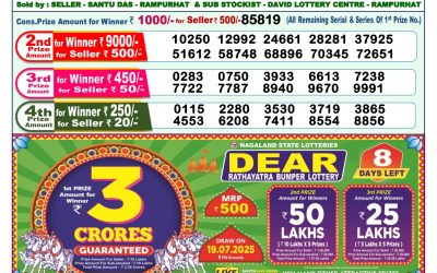 Dear lottery 1pm result 11.07.25