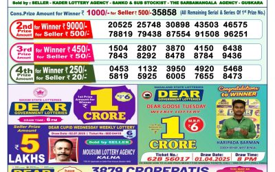 Dear lottery 1pm result 13.07.25