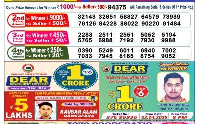 Dear lottery 6pm result 13.07.25