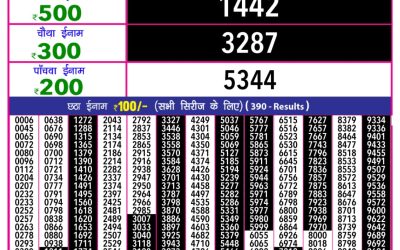 Rajshree 10 Evening Lottery 5.40pm Result 12.08.25
