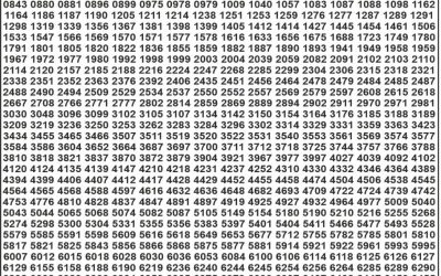 Punjab State Dear 50 Lottery 6pm Result 13.08.25