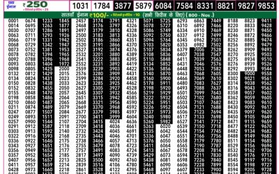 Rajshree 50 Daily Lottery 7.30pm Result 13.08.25