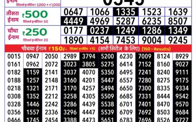Rajshree Daily Lottery 1pm Result 17.08.25