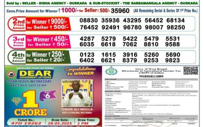 Dear Lottery 6pm Result 25.08.25