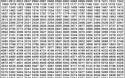 Punjab State Dear 50 Lottery 6pm Result 25.08.25