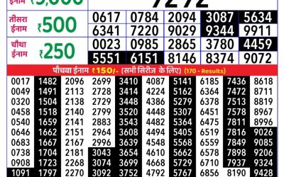 Rajshree Daily Lottery 1pm Result 29.08.25