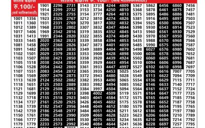 Maharashtra Padmini Weekly Lottery Result 05.08.25