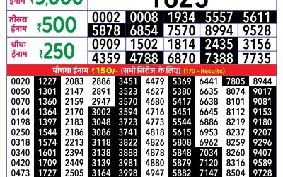 Rajshree Daily Lottery 1pm Result 19.08.25