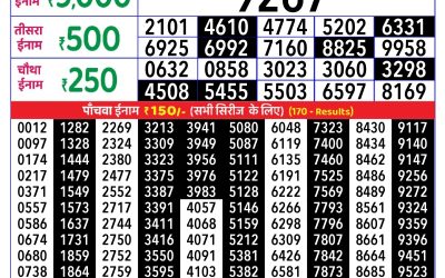 Rajshree Daily Lottery 1pm Result 24.08.25