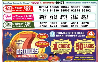 Dear Lottery 1pm Result 12.08.25
