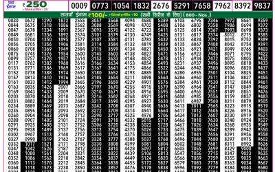 Rajshree 50 Daily Lottery 7.30pm Result 03.09.25